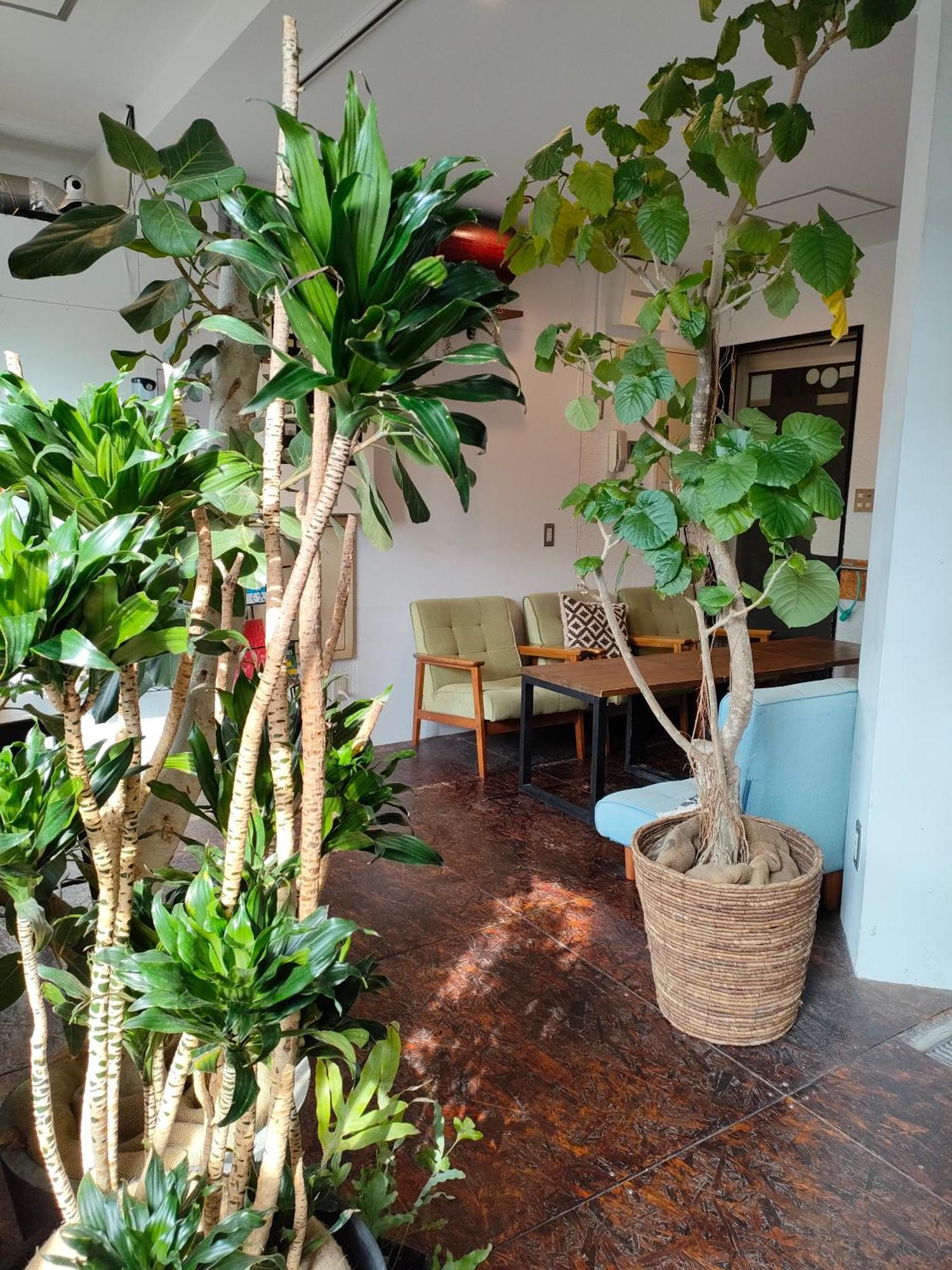 Hostel Ouji Music Lounge Tokio